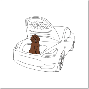 Labradoodle in a Tesla Model 3 Frunk Posters and Art